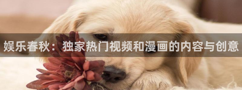 南宫大舞台官网入口
