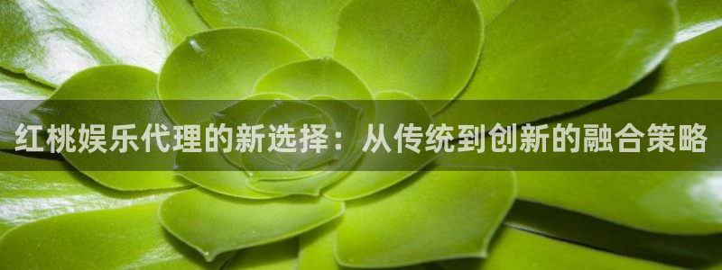 南宫大舞台官网入口