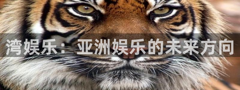 南宫大舞台官网入口