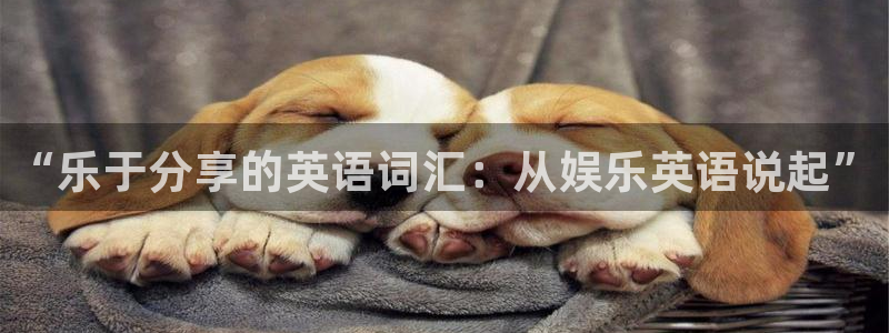 南宫大舞台官网入口