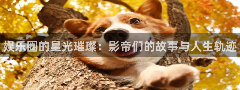 NG大舞台