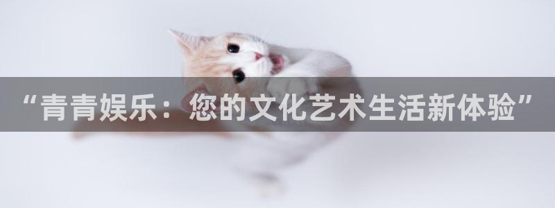 南宫大舞台官网入口